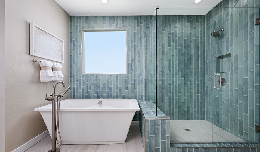 Primary Shower