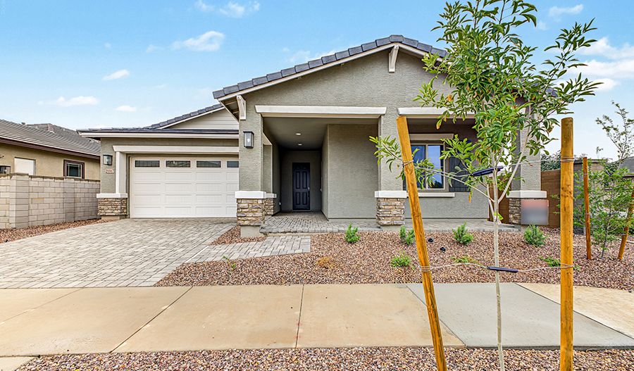 Celeste - Madera West Estates: Queen Creek, Arizona - Richmond American
