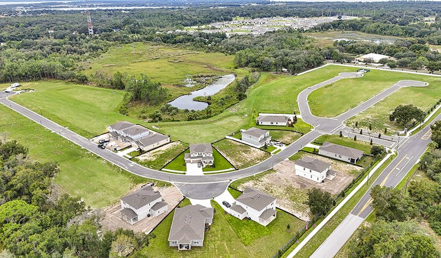 RAH-ORL-TroonCreekPreserve-FL-aerial-03-w.jpg