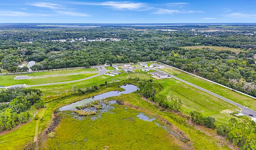RAH-ORL-TroonCreekPreserve-FL-aerial-05-w.jpg