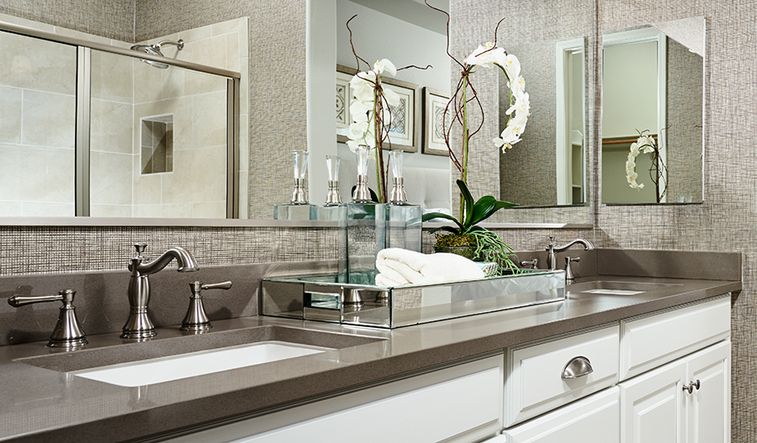 Owner's Bathroom