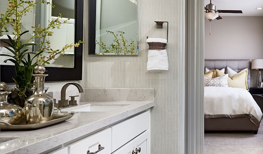 Owner's Bathroom