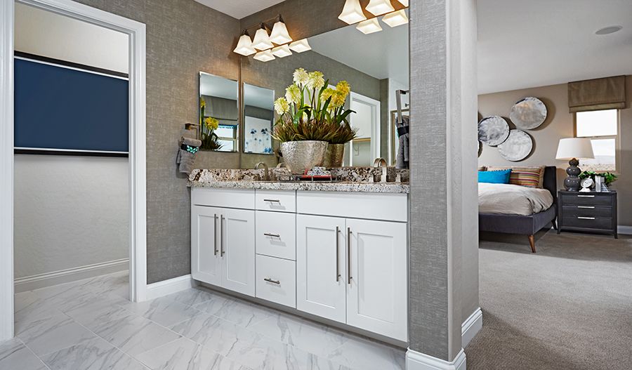 Owner's Bathroom
