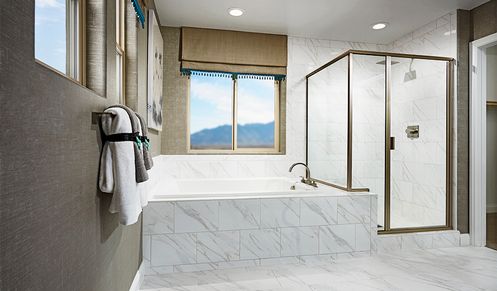 Owner's Bathroom