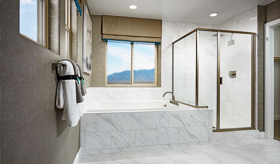 Owner's Bathroom