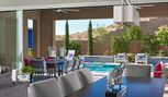Galway Grove - Las Vegas, NV