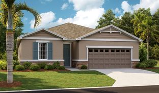 Slate - Seasons at Eden Hills: Lake Alfred, Florida - Richmond American Homes