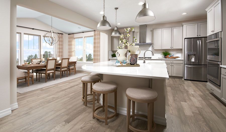 Kitchen and Dining Room