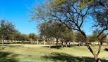 Seasons at White Tank Foothills - Waddell, AZ