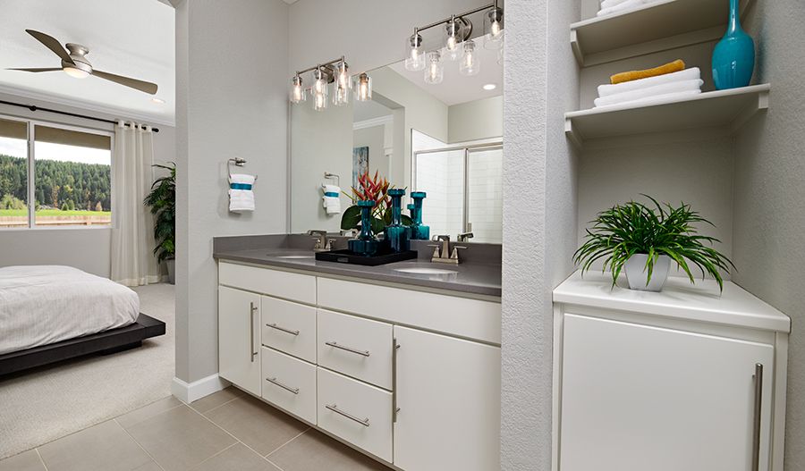 Owner's Bathroom