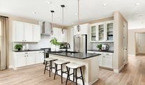 Seasons at Railhead por Richmond American Homes en Austin Texas