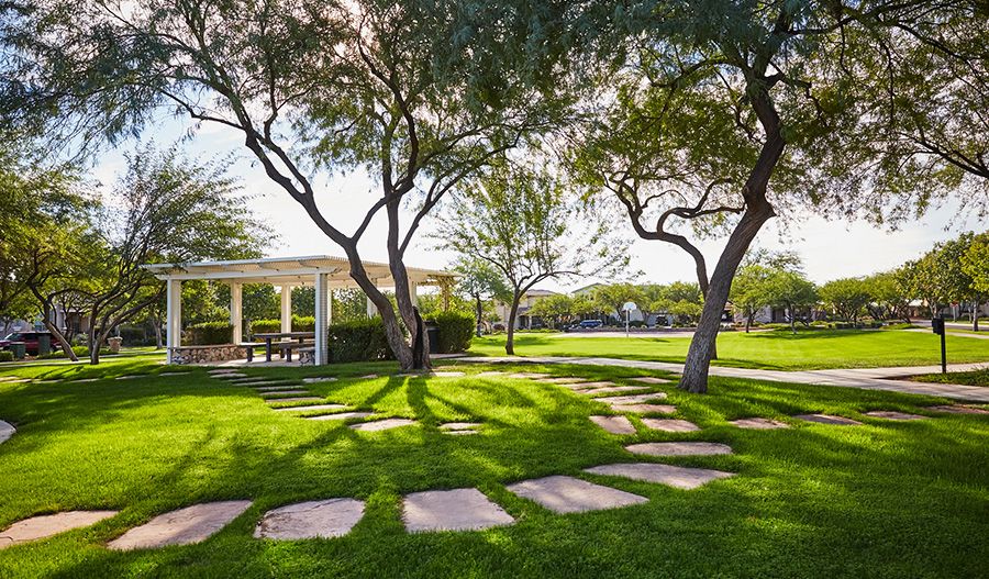 Picnic Area