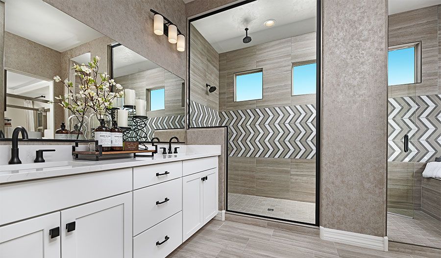 Bathroom of the Darius Plan