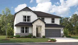 Ammolite - Seasons at Highland Village: Georgetown, Texas - Richmond American Homes