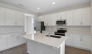 Ammolite - Seasons at Grandview Gardens: Deland, Florida - Richmond American Homes