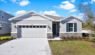 Slate - Seasons at Lakeside Forest: Tavares, Florida - Richmond American Homes