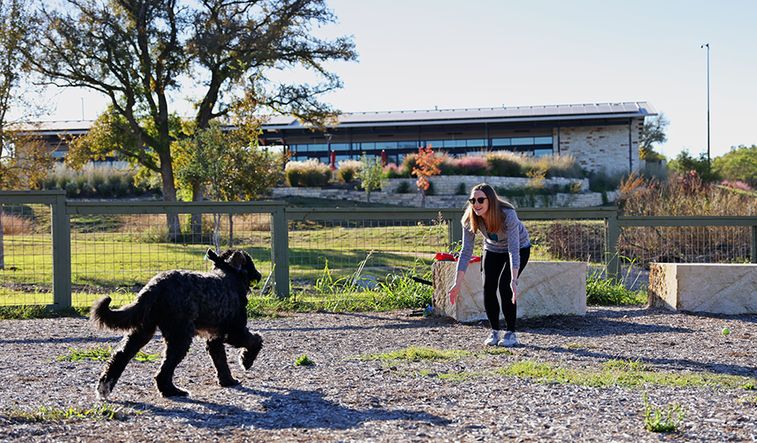 Dog Park