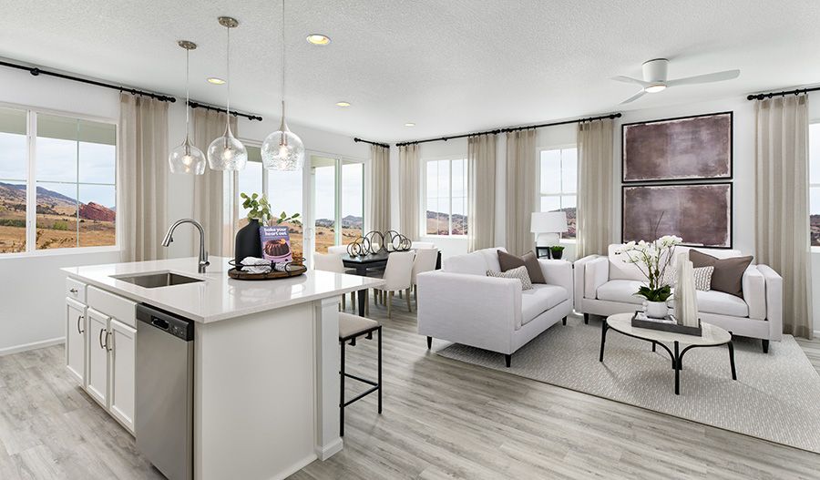 Great Room and Kitchen