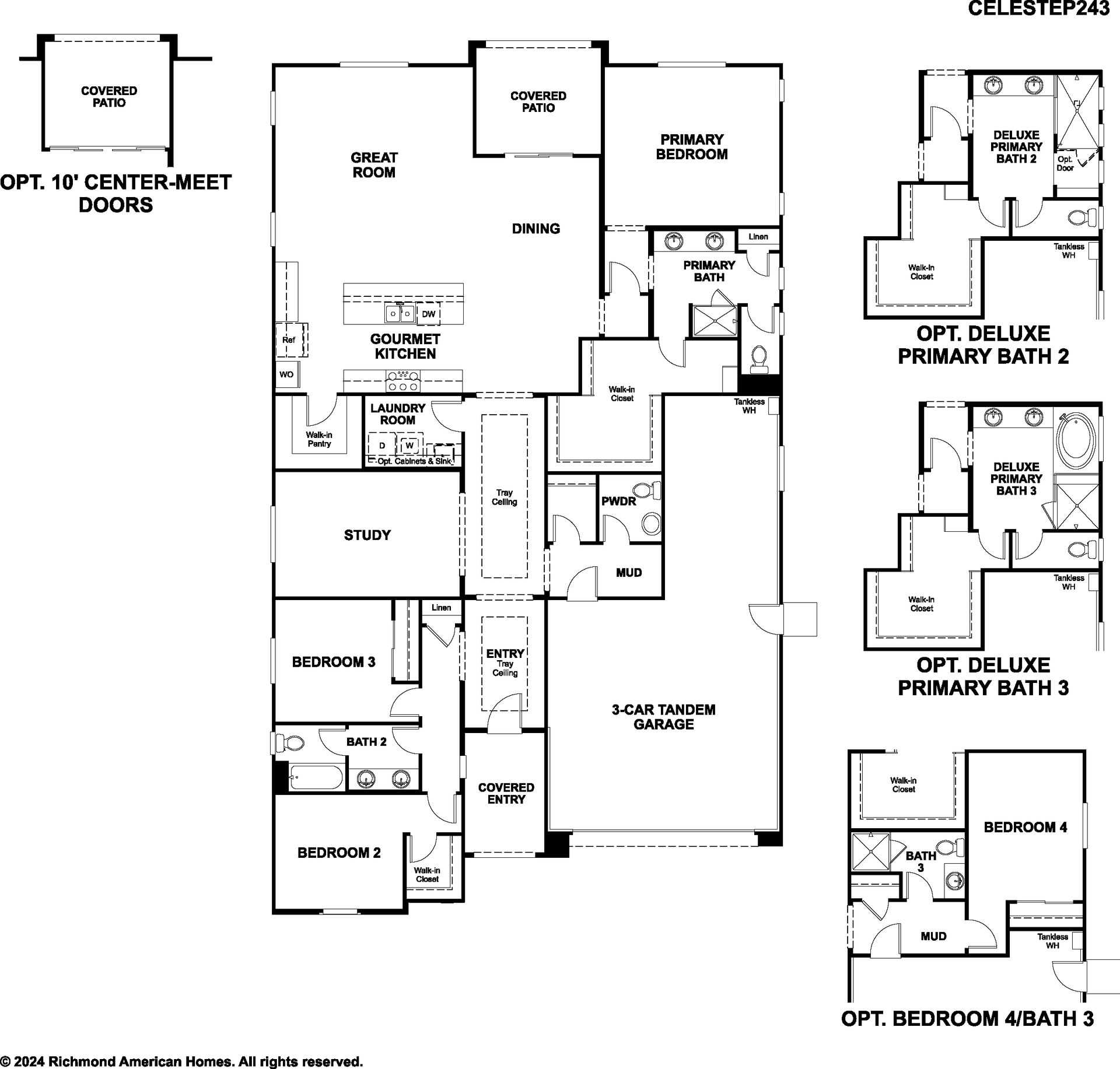 CelesteP243_print_01_07_25.jpg