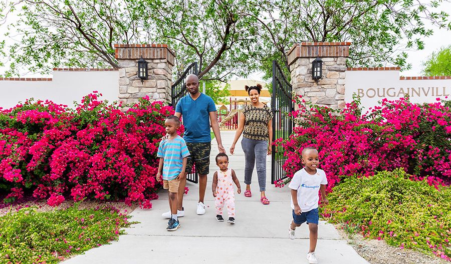 Bougainvillea Park