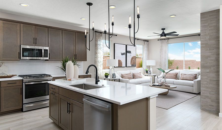 Kitchen and Great Room