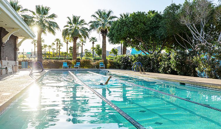 Lap Pool