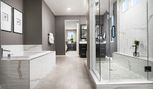 Primrose Park at Summerlin - Las Vegas, NV