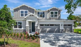 Ammolite - Seasons at Wekiva Ridge: Mount Dora, Florida - Richmond American Homes