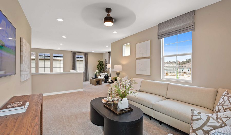 Loft