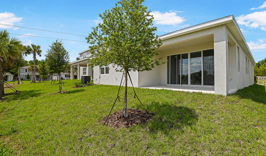 Rear Exterior