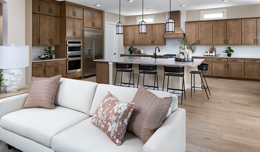 Family Room and Kitchen