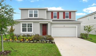 Ammolite - Seasons at Bella Vista: Dundee, Florida - Richmond American Homes