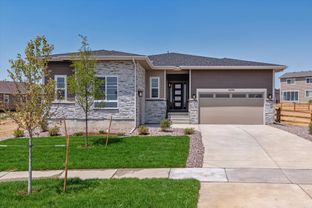 Daniel - The Aurora Highlands: Aurora, Colorado - Richmond American Homes