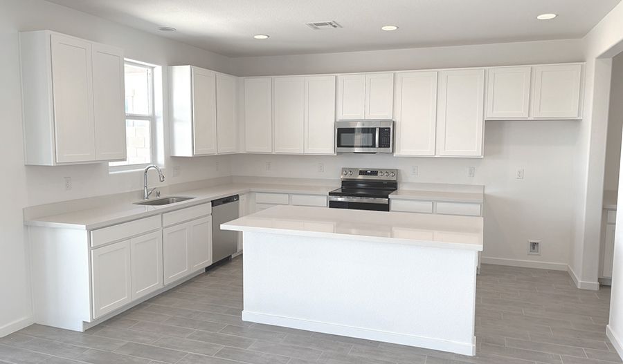 Kitchen of the Palmetto