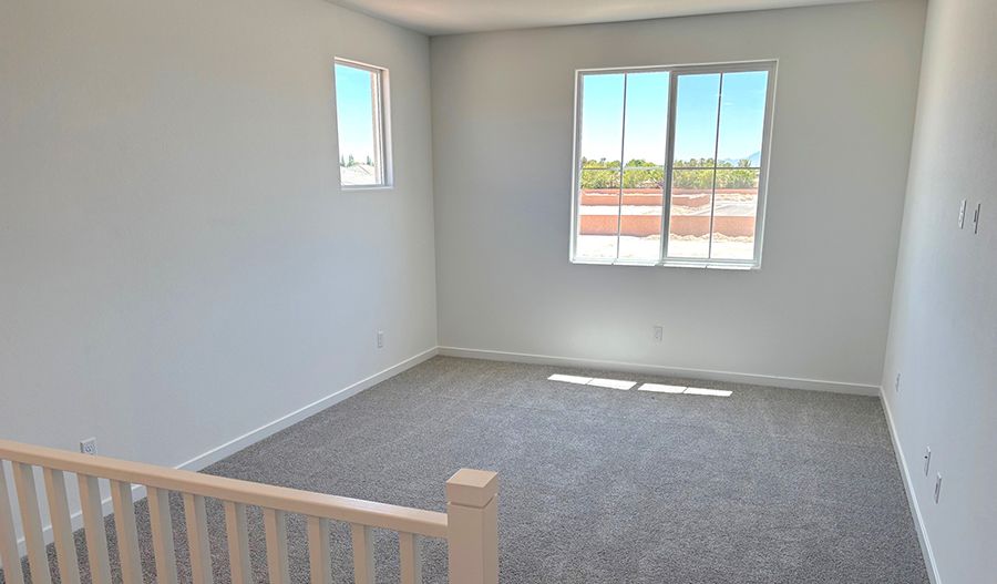 Loft of the Palmetto
