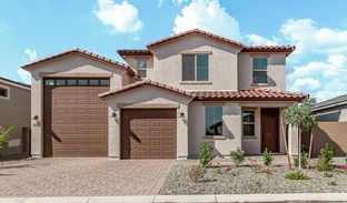 Zinc - Seasons at Entrada Del Oro II: Gold Canyon, Arizona - Richmond American Homes