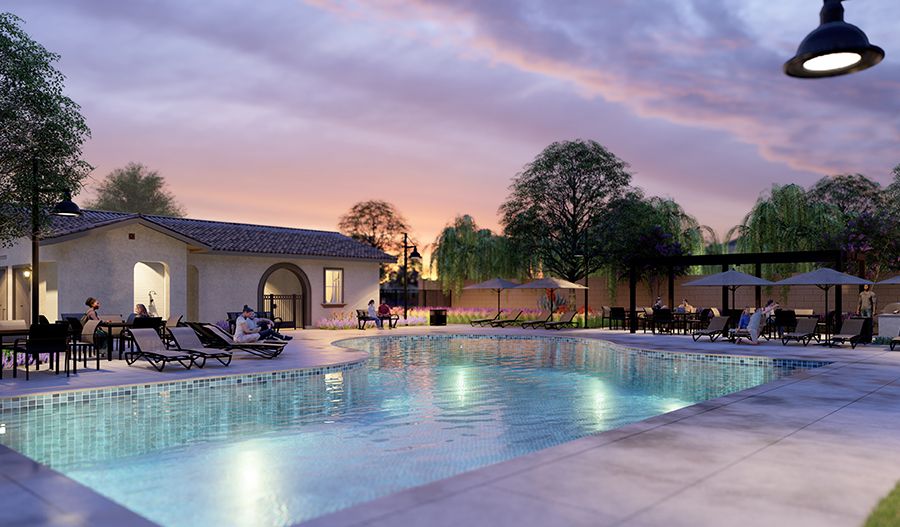 Auburndale at The Woods Pool