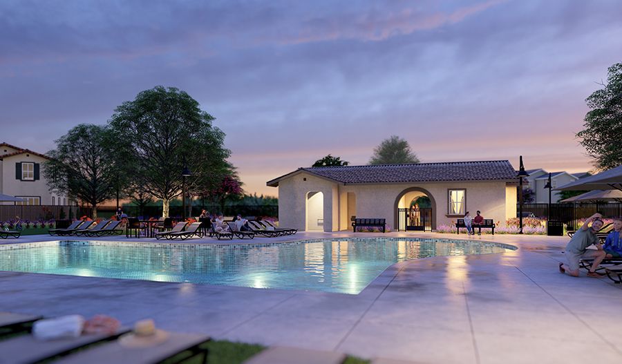 Auburndale at The Woods Pool