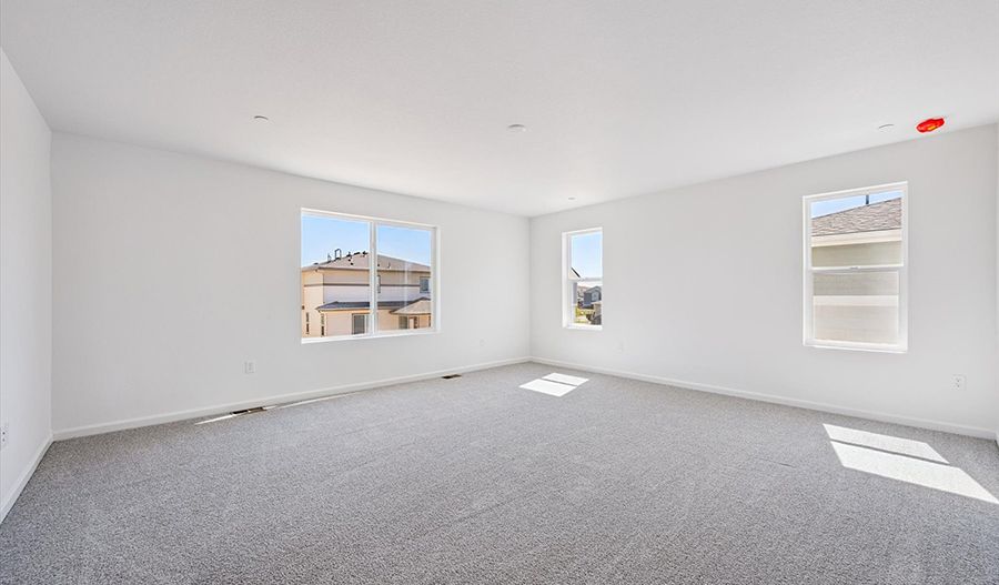 9164 Telluride Court (Ammolite)