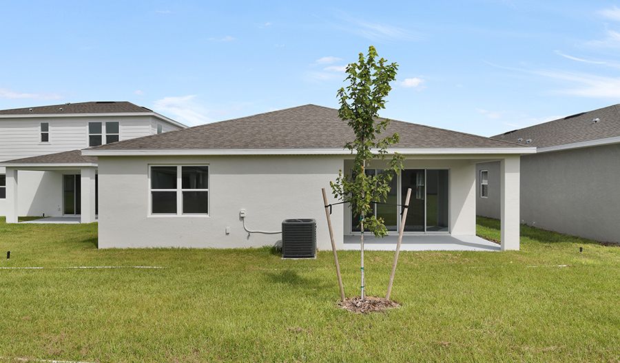 Rear Exterior