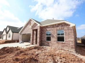 715 Michelia Street (Polo)