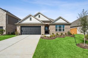 14118 Baikal Manor Drive (Pizarro)