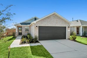 1229 Sacred Light Lane (Primrose)