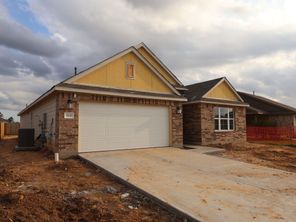 17137 Pinewood Branch Drive (Pizarro)