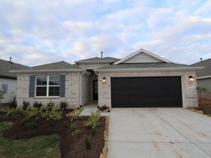 1226 Sacred Light Lane (Pizarro)