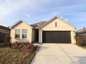 707 Hackberry Branch Court (Freestone)