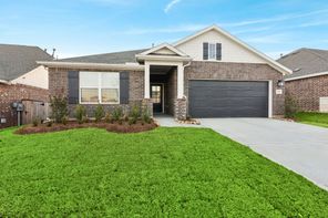 574 Bluebell Maiden Court (Polo)