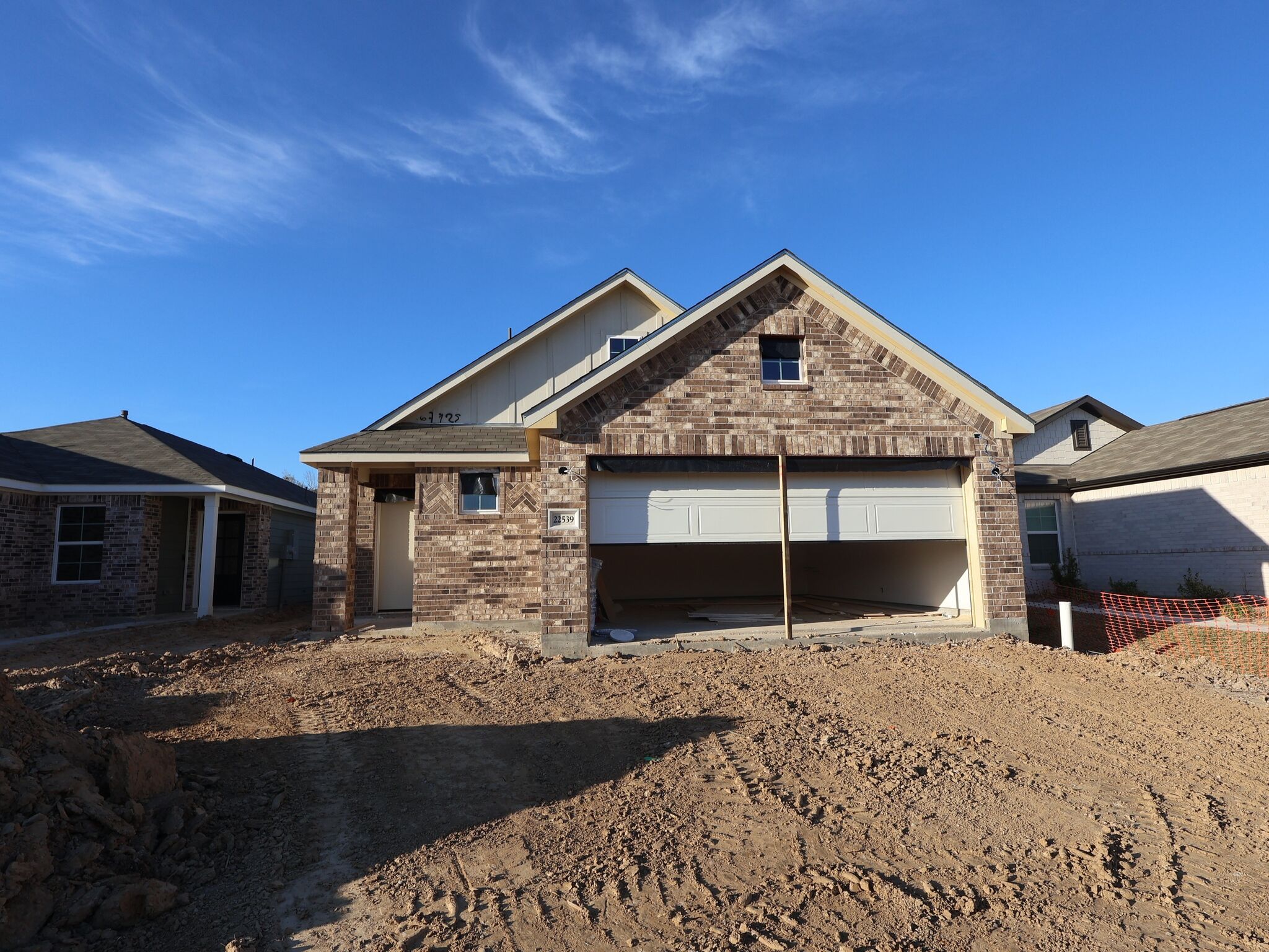 22539 Serviceberry Branch (Aster)