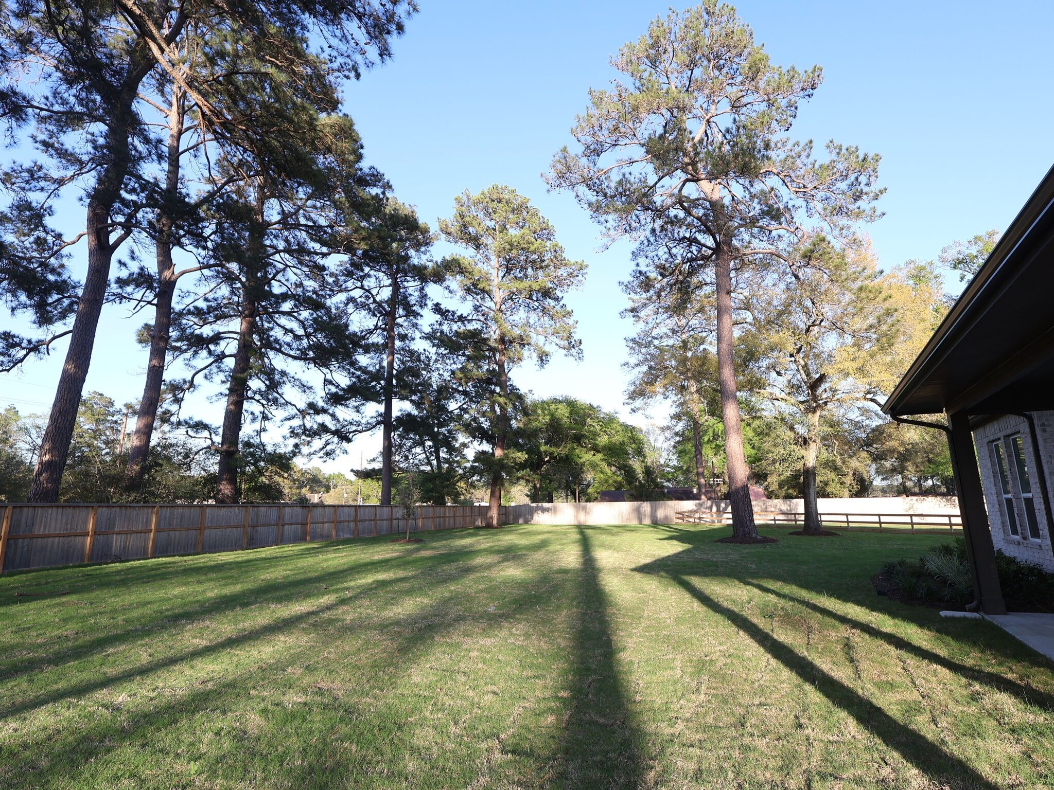 Sorella - Tomball, TX