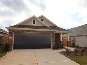 10223 Burton Path (Aster)